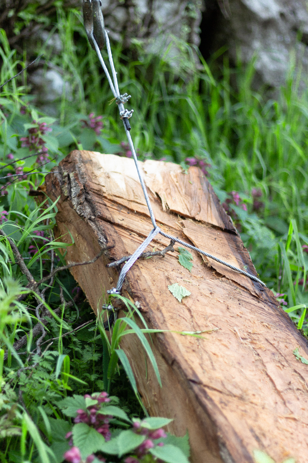 Photo by Antônio Frederico Lasalvia